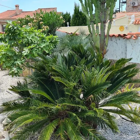 Villa 200 Meters From The *