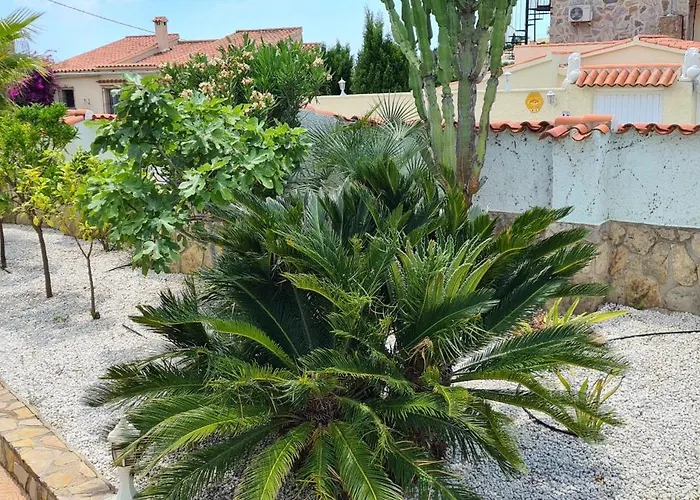 Vila 200 Meters From The *